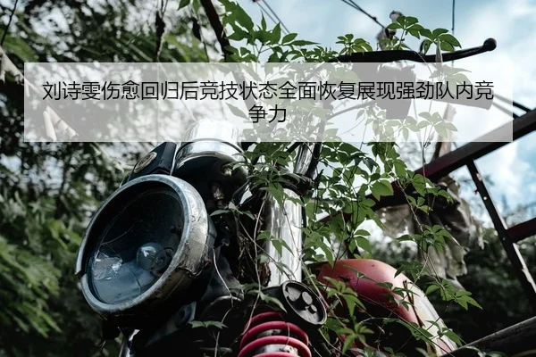 刘诗雯伤愈回归后竞技状态全面恢复展现强劲队内竞争力
